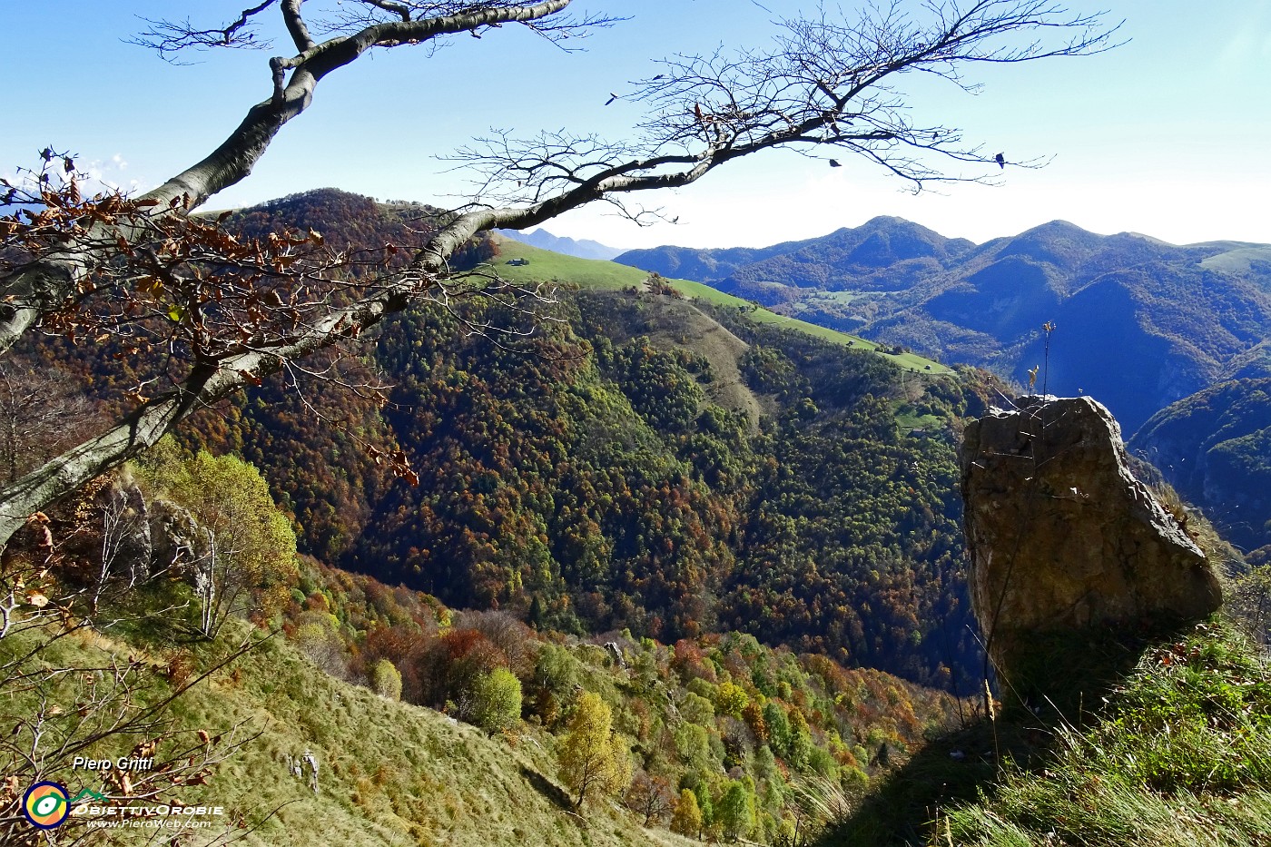 36 Oltre la Valle di Bordesiglio il verde di Prato Giugno.JPG -                                